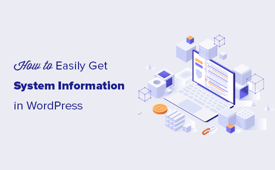 如何快速获取 WordPress网站的系统信息