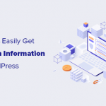 如何快速获取 WordPress网站的系统信息