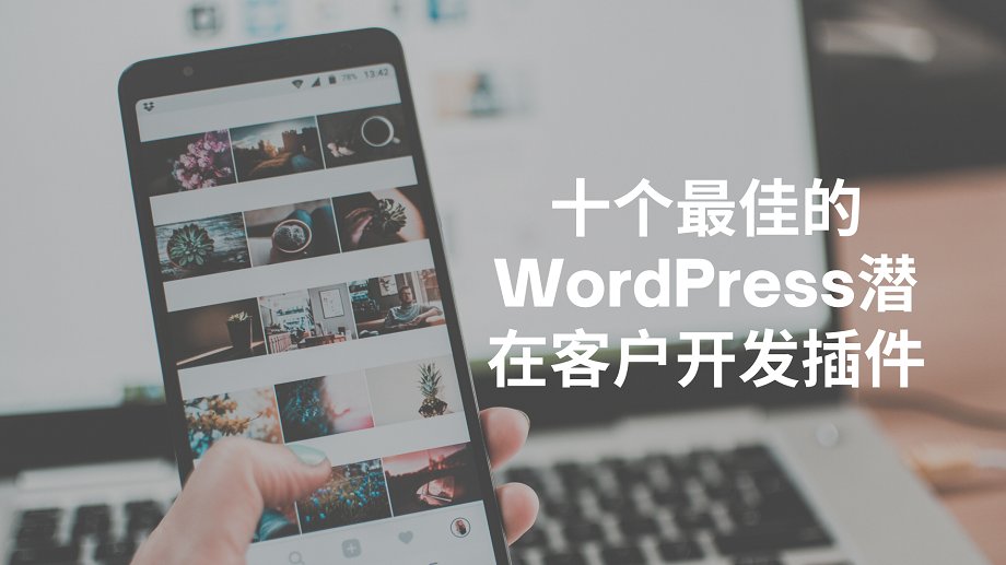 十个最佳的WordPress潜在客户开发插件