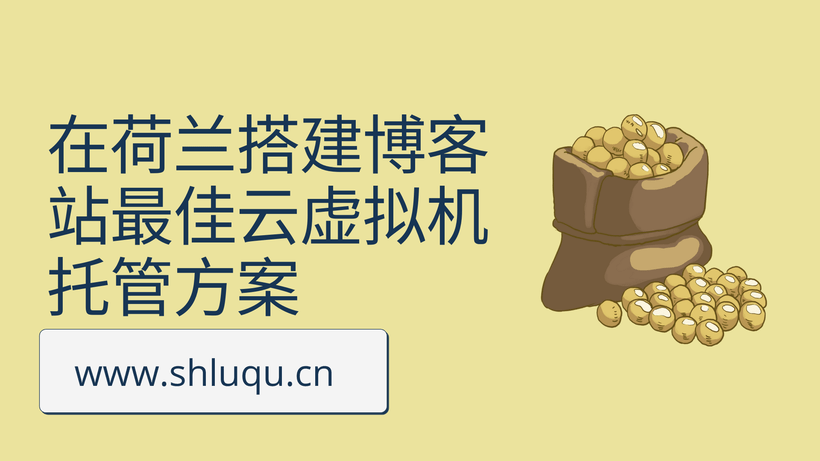 在荷兰搭建博客站最佳云虚拟机托管方案