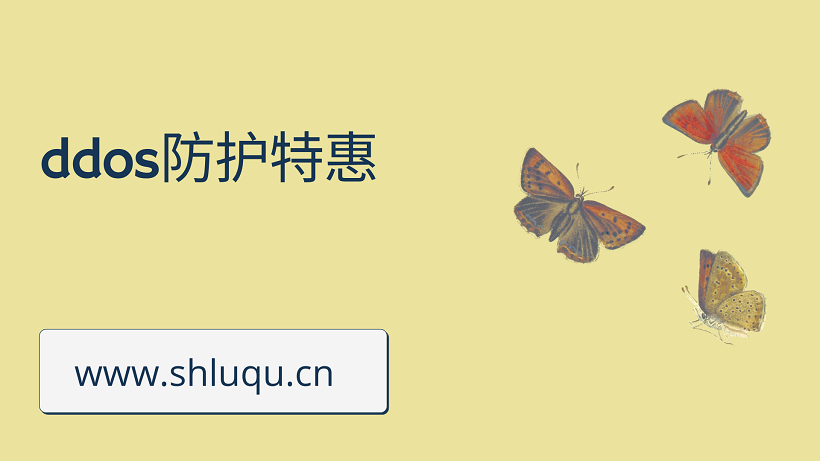 ddos防护特惠