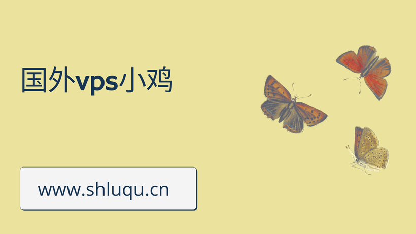 国外vps小鸡