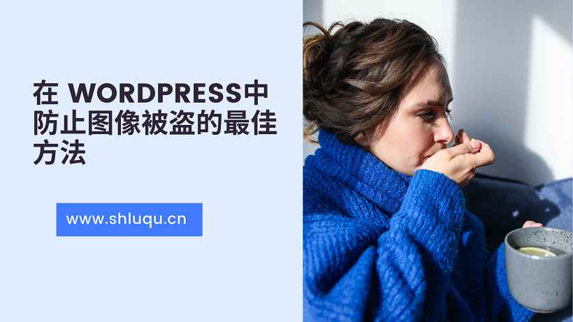 在 WordPress中防止图像被盗的最佳方法