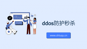 ddos防护秒杀