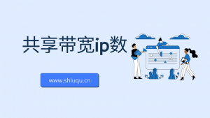 共享带宽ip数